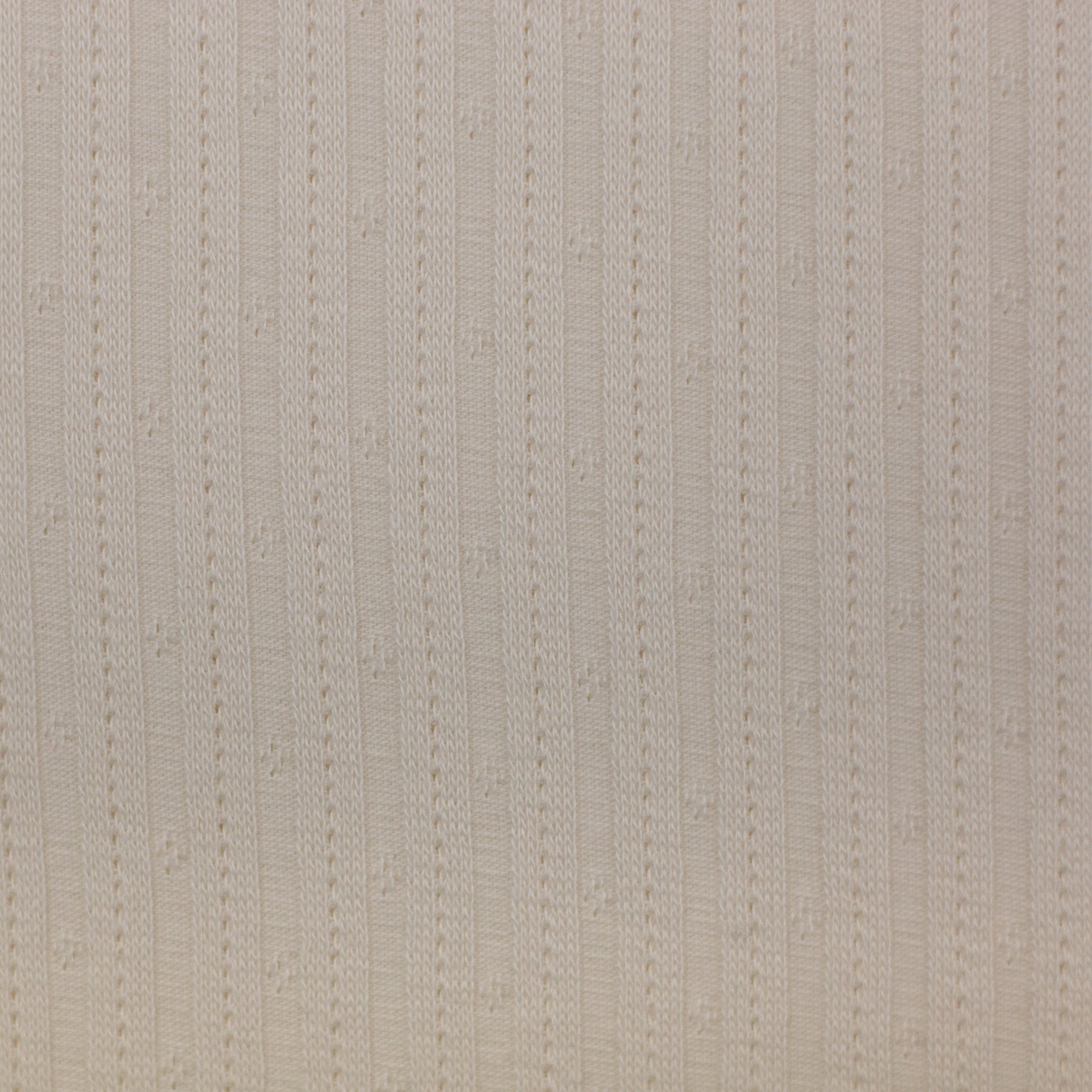 Pointoille Ribbet Jersey -  Offwhite