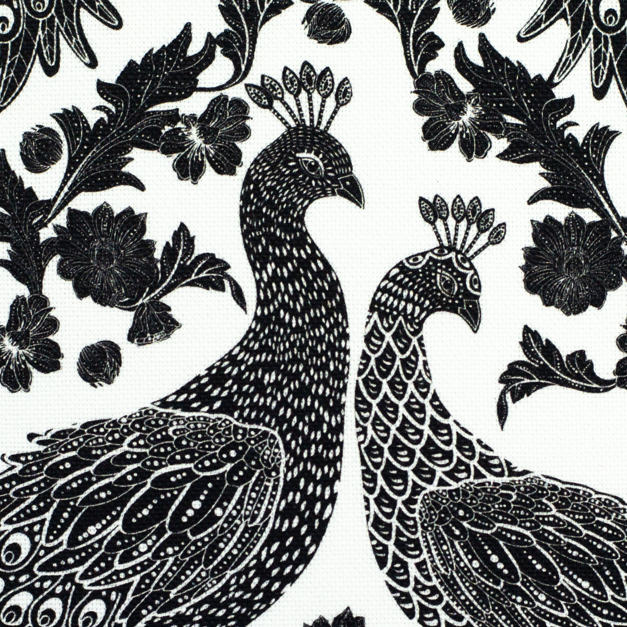 Kanvas - Peacock Wedding by Bienvenido