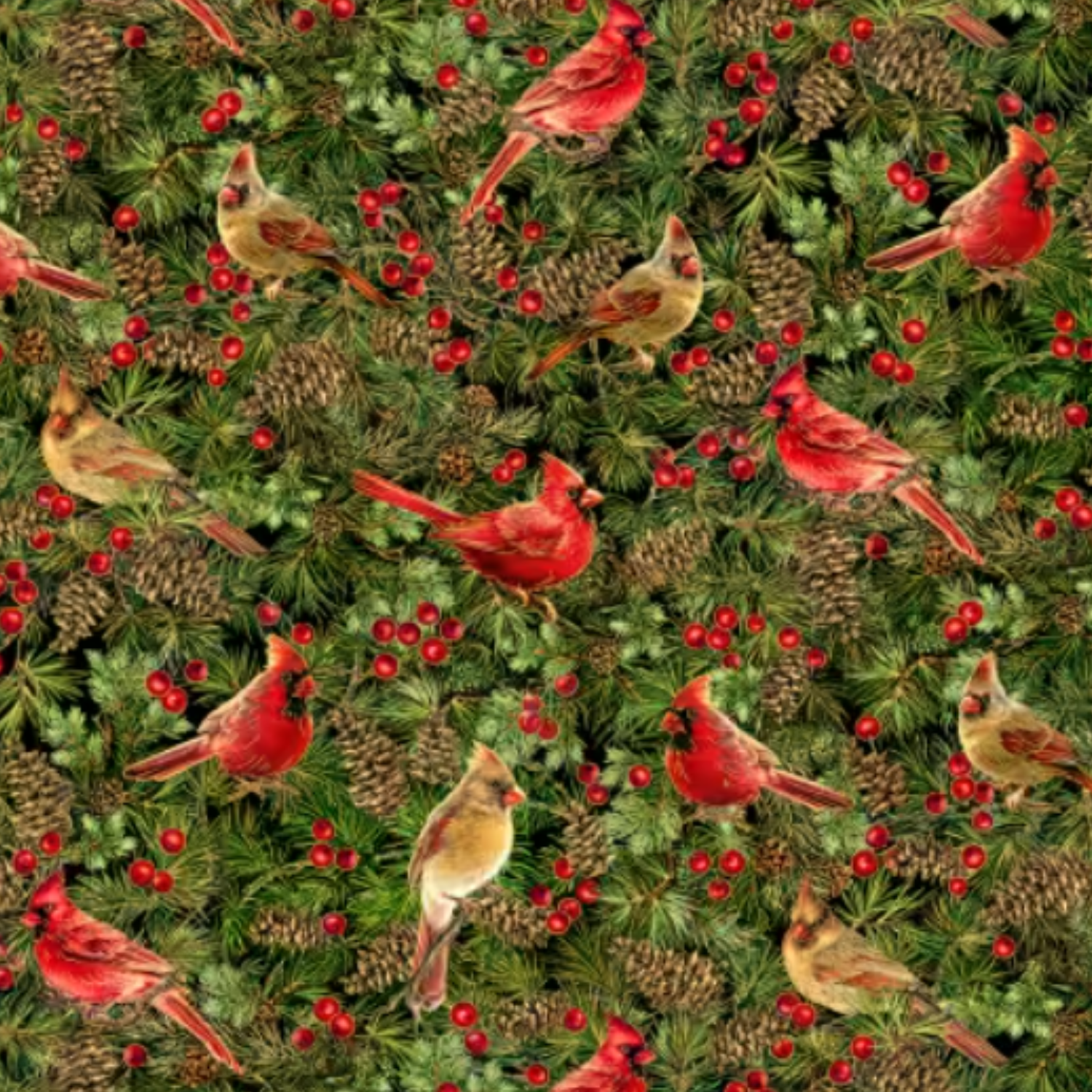 Bomull - Kardinaler svart