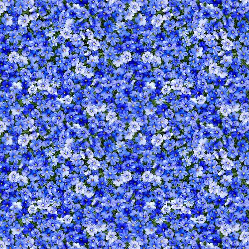 Bomull - Blå blomster