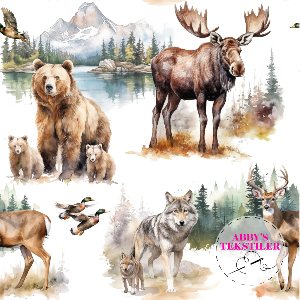 Jersey - Skogen Dyr i vinter