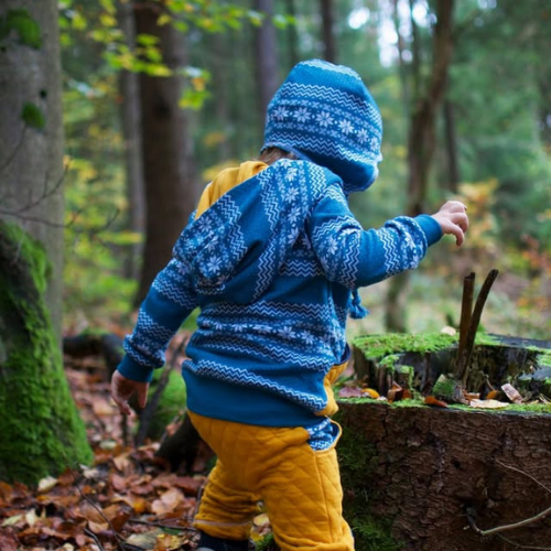 Økologisk Jacquard jersey - Norsk - Rød