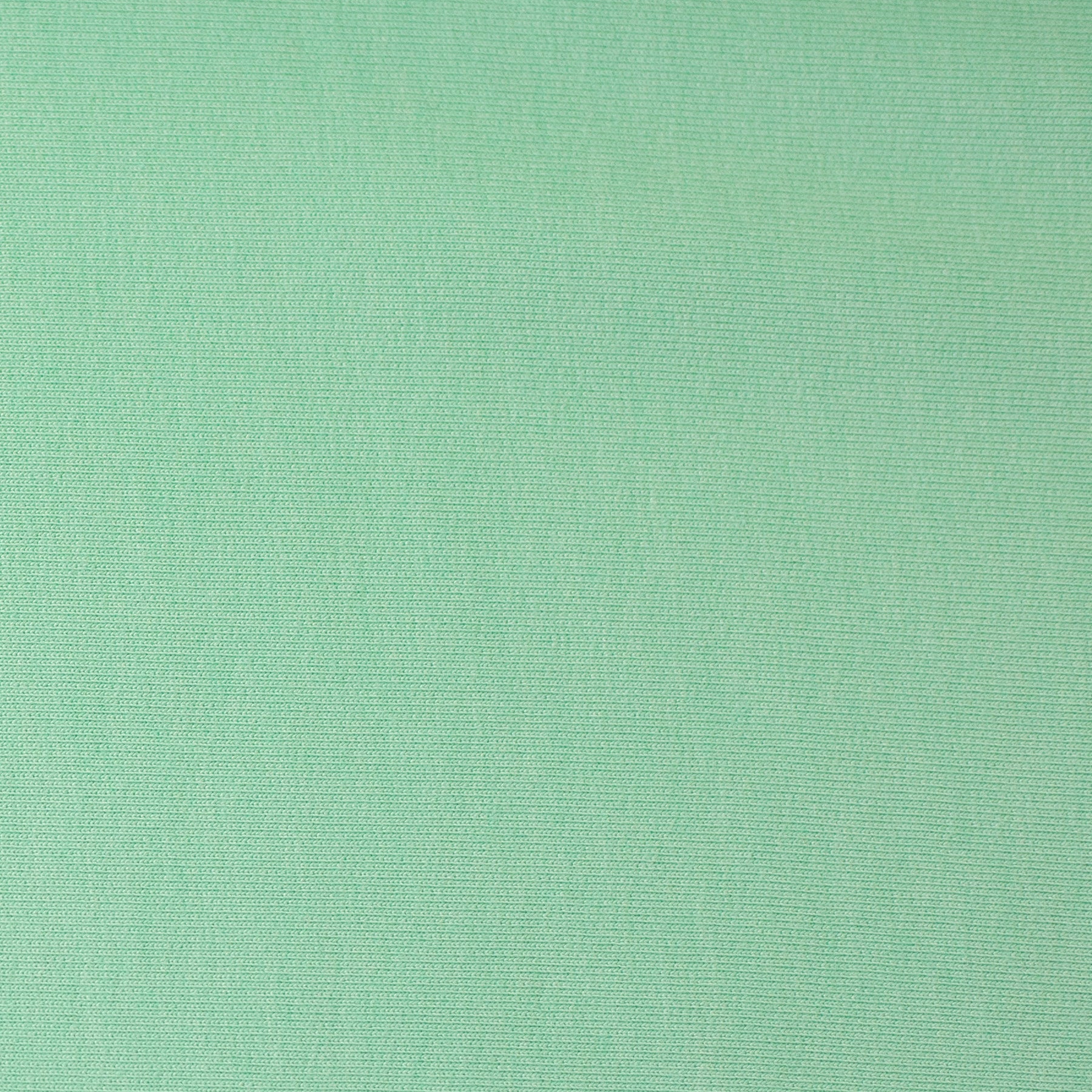 Modal French Terry - Pastell Mint