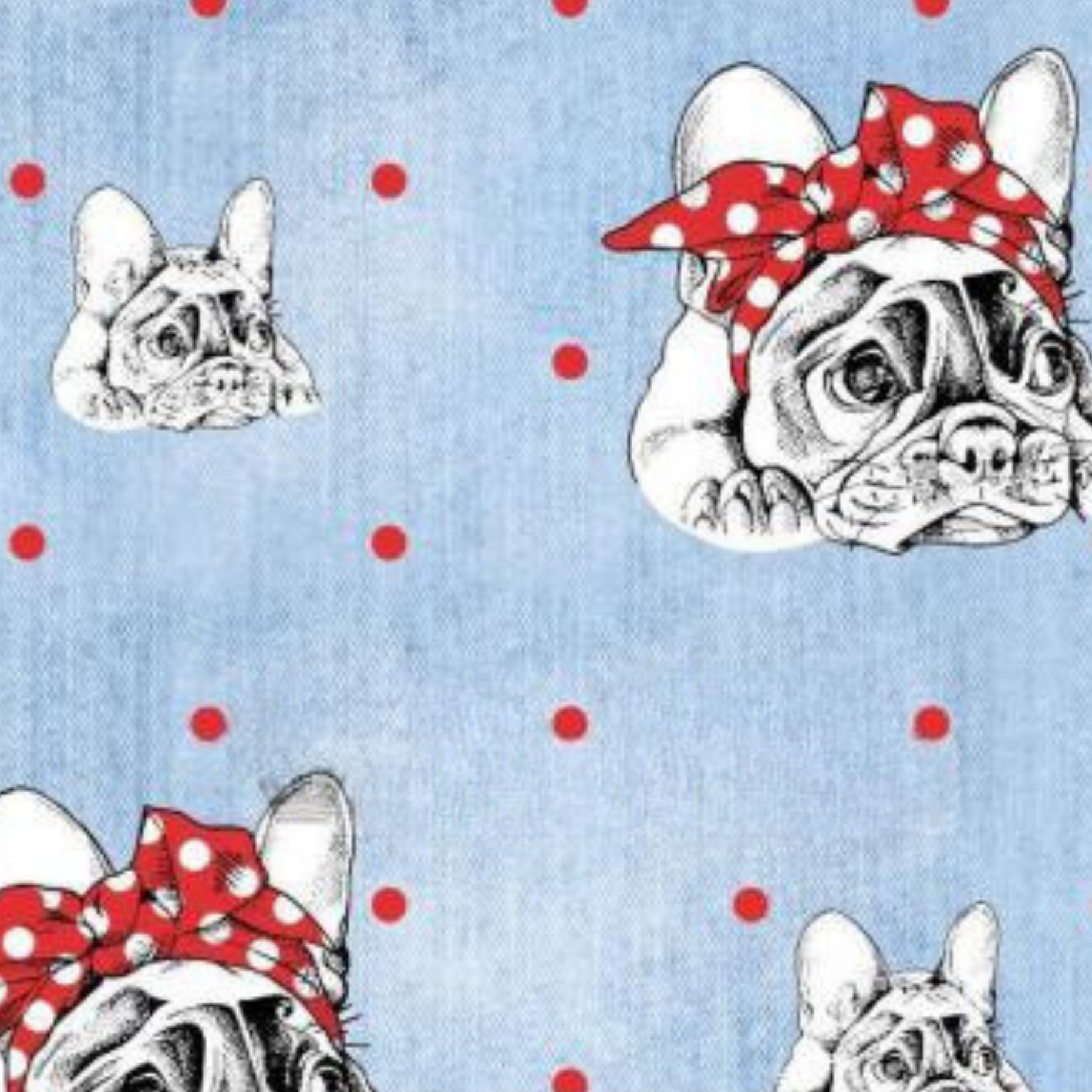 Jersey - Bulldog lys blå