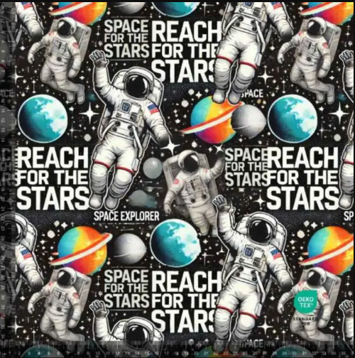 French Terry  - Reach the stars