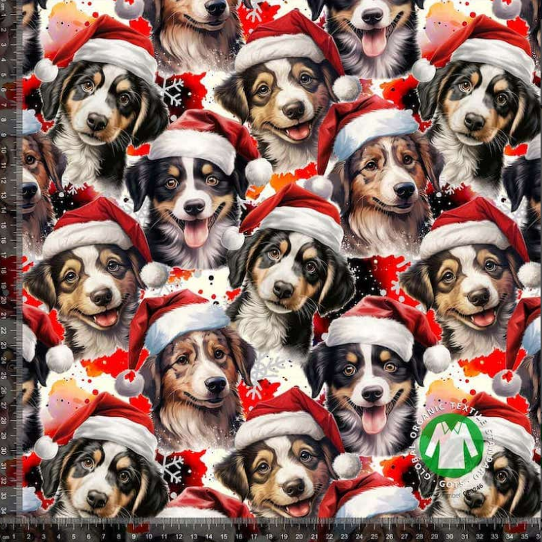 Jersey - Jule hund