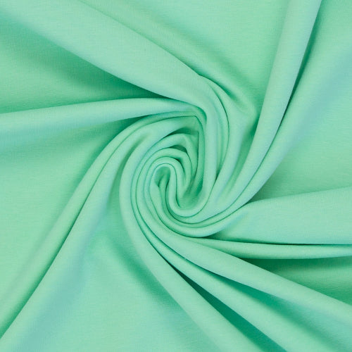 Ny French Terry - Mint 261