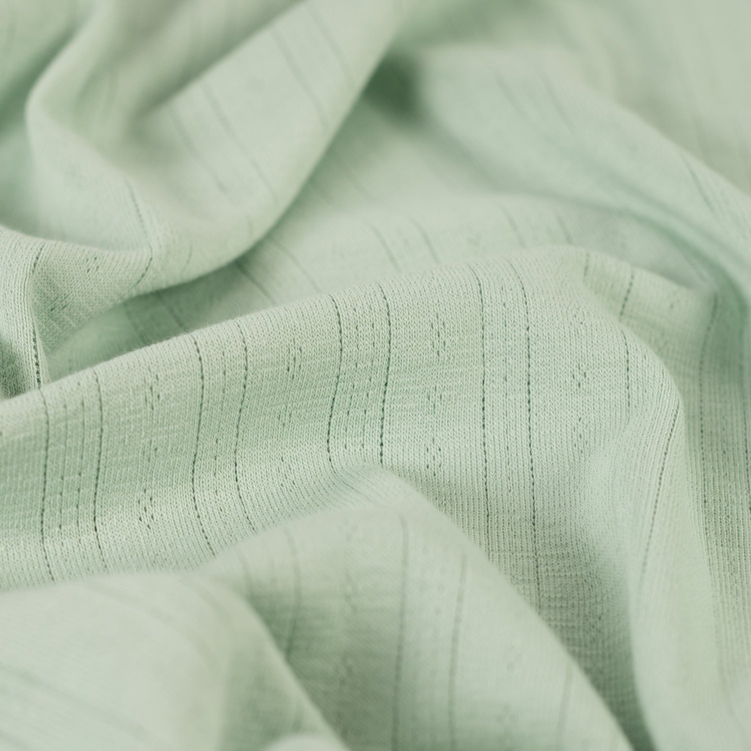 Pointelle Jersey -  Mint