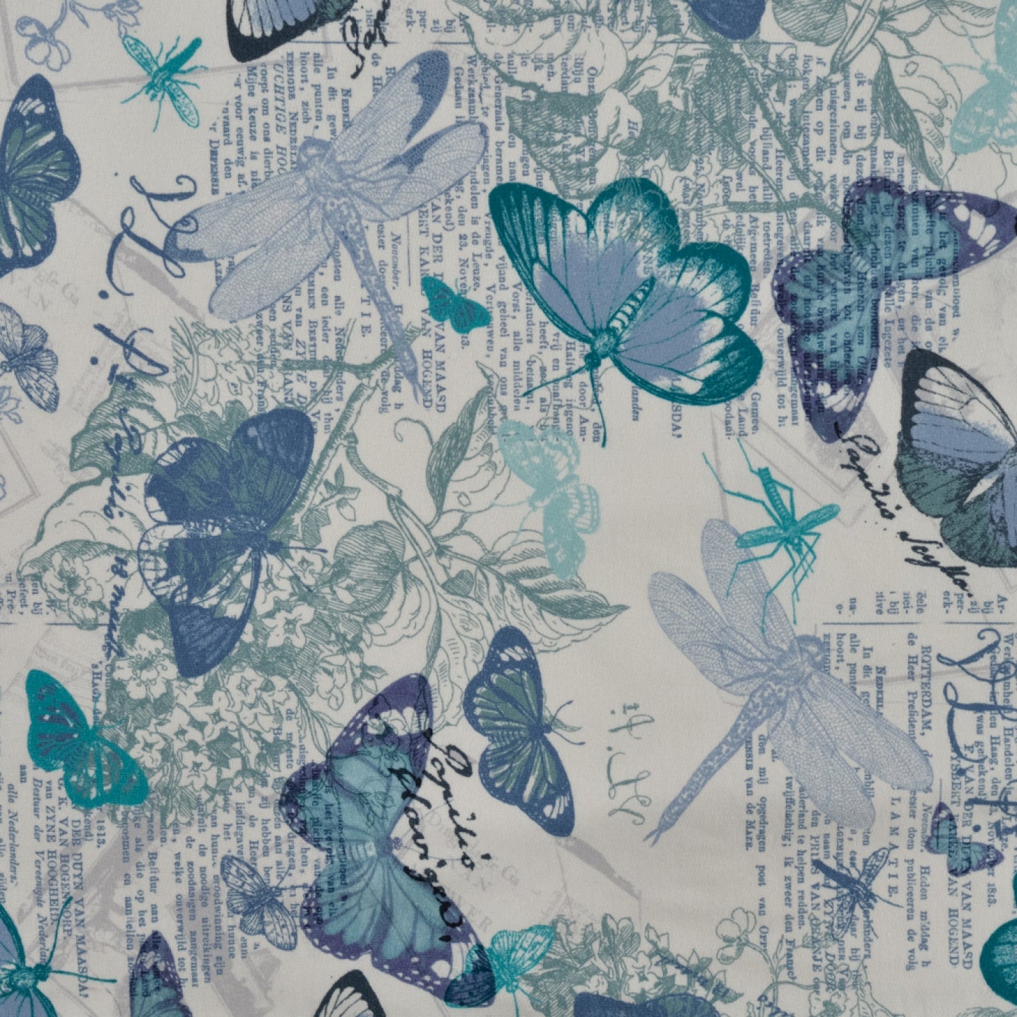Økologisk French Terry sommerfugler mint blå